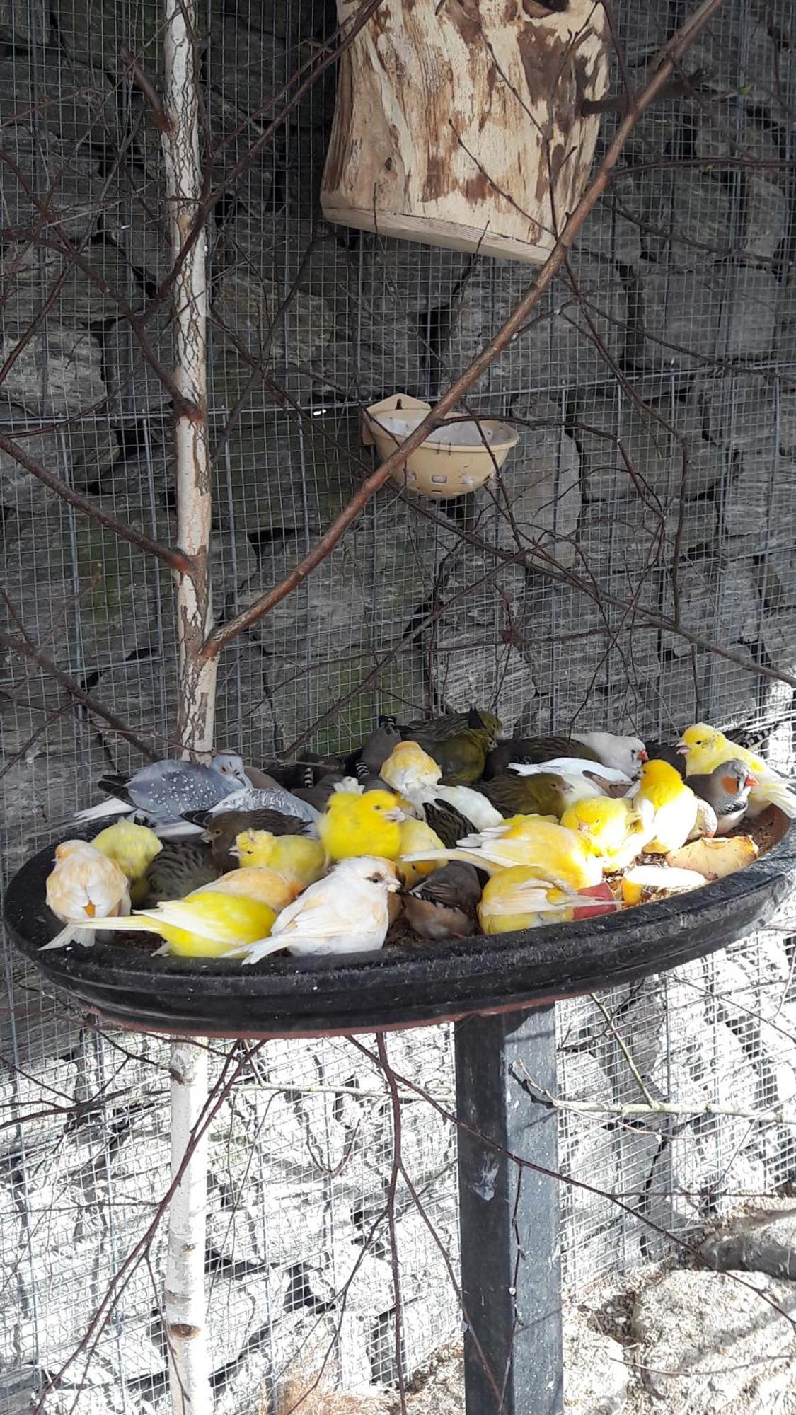 קוסטרזין נאד אודרה Pokoje Goscinne Skalnik - Agroturystyka מראה חיצוני תמונה
